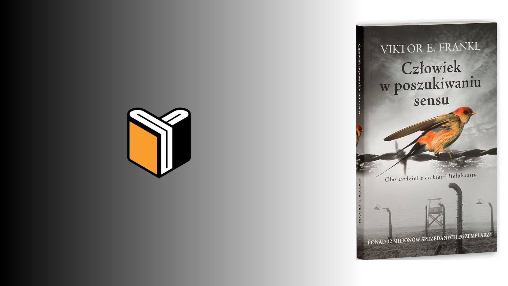 Viktor Frankl Człowiek W Poszukiwaniu Sensu Pdf
